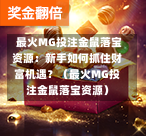  最火MG投注金鼠落宝资源：新手如何抓住财富机遇？（最火MG投注金鼠落宝资源）